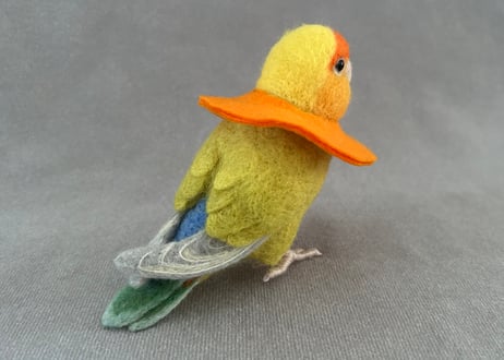 お客様専用 約1/2サイズコザクラインコ
