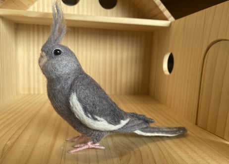 お客様専用約1/2サイズ&ガラスドームオカメインコ