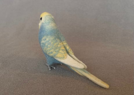 約1/2サイズセキセイインコ