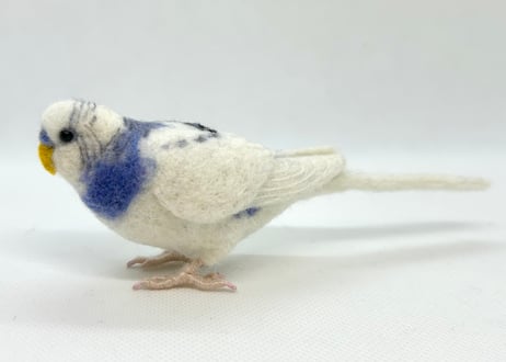 約1/2サイズセキセイインコ
