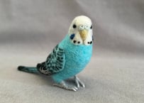 約1/2サイズセキセイインコ