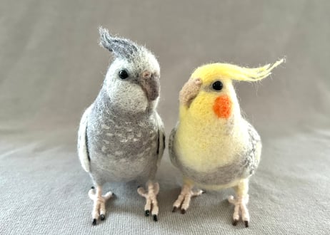 約1／2サイズオカメインコ