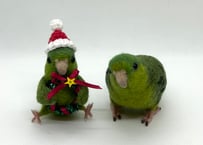 お客様専用約1/2サイズとおすわりサザナミインコ