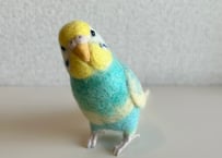 リアルサイズセキセイインコ