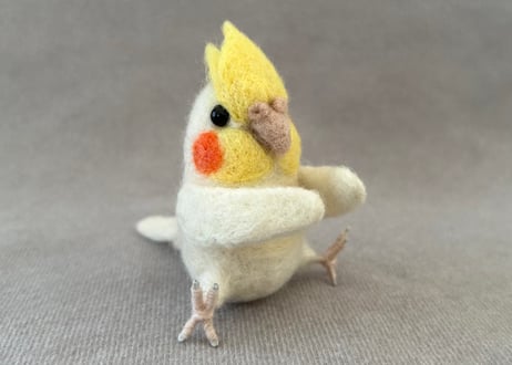 オカメルチノー、セキセイルチノー4点