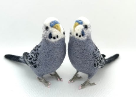お客様専用約1/2サイズセキセイインコ