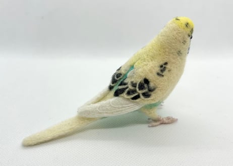 お客様専用約1/2サイズセキセイインコ×2