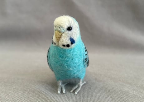 約1/2サイズセキセイインコ