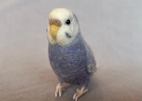 セキセイインコリアルタイプ＋ピーナッツ