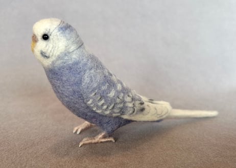 セキセイインコリアルタイプ＋ピーナッツ