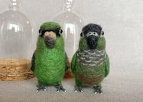 お客様専用ガラスドームインコ