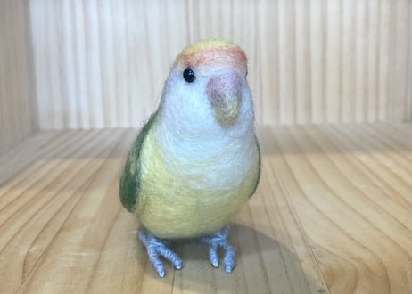 お客様専用約1/2サイズコザクラインコ×3