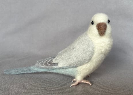 約1/2サイズオキナインコ