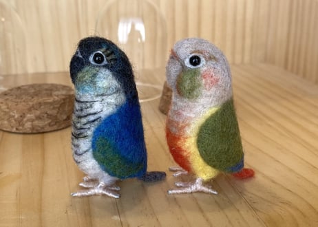 お客様専用ガラスドームタイプウロコインコ2体