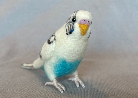 約1/2サイズセキセイインコ