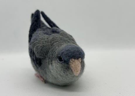 お客様専用約1/2サイズサザナミインコ