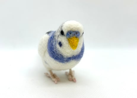 約1/2サイズセキセイインコ