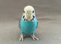 約1/2サイズ&おすわりセキセイインコ