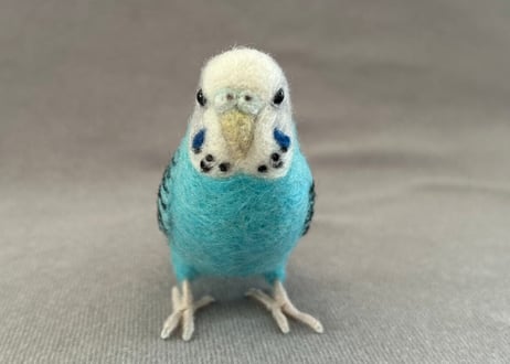 約1/2サイズ&おすわりセキセイインコ