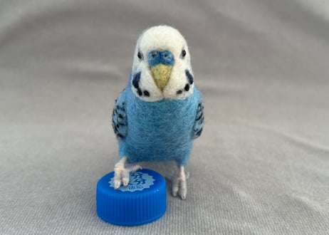 約1/2サイズセキセイ&オカメインコ