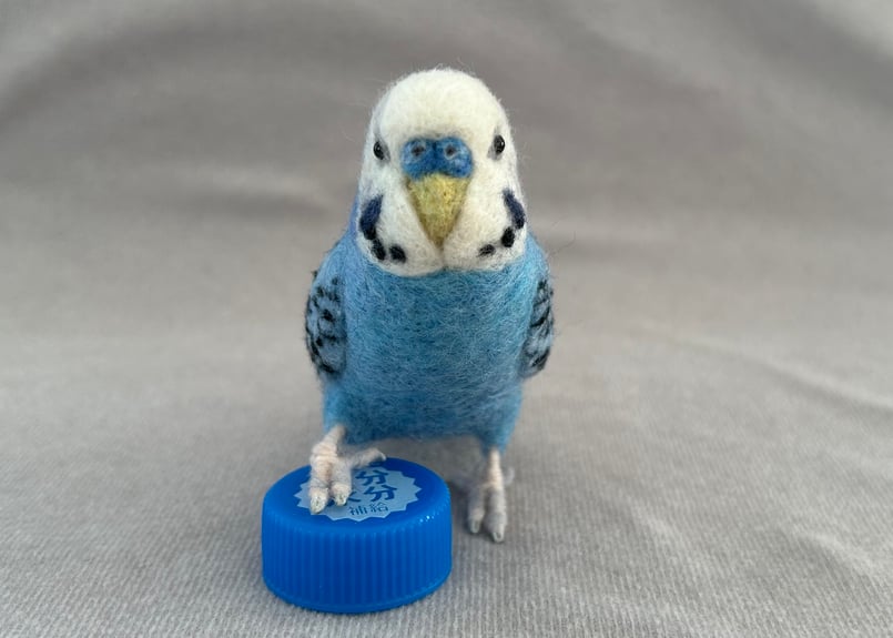 セキセイインコ　a⑥ リアルサイズセキセイインコ | TinyBooBoo