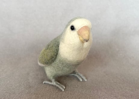 約1/2サイズコザクラインコ