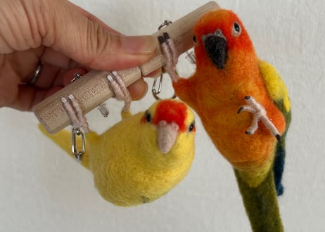 お客様専用パーチインコ2体