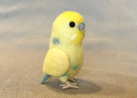 セキセイインコガラスドームタイプ