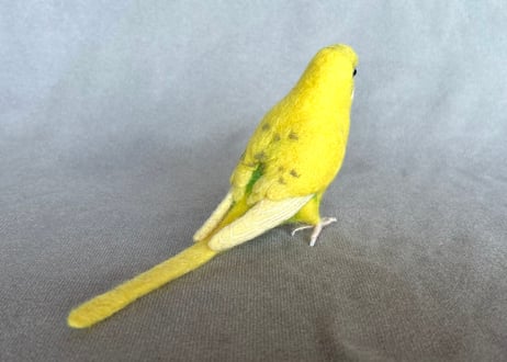 リアルサイズセキセイインコ