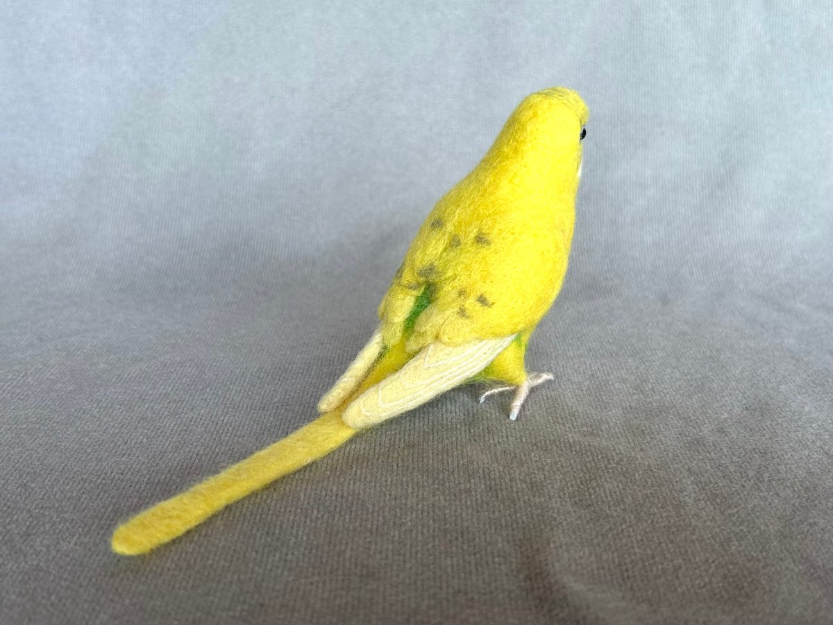 せきせいいんこ リアルサイズセキセイインコ | TinyBooBoo
