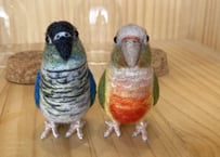 お客様専用ガラスドームタイプウロコインコ2体