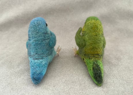 おすわりサザナミインコ