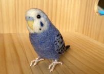 お客様専用約1/2サイズセキセイインコ