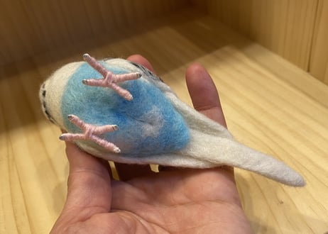 お客様専用約1/2サイズ&ピーナッツセキセイインコ