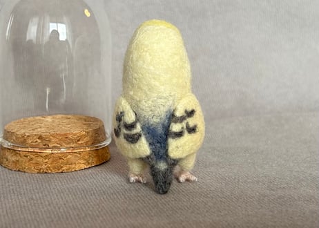 お客様専用ガラスドームタイプセキセイインコ