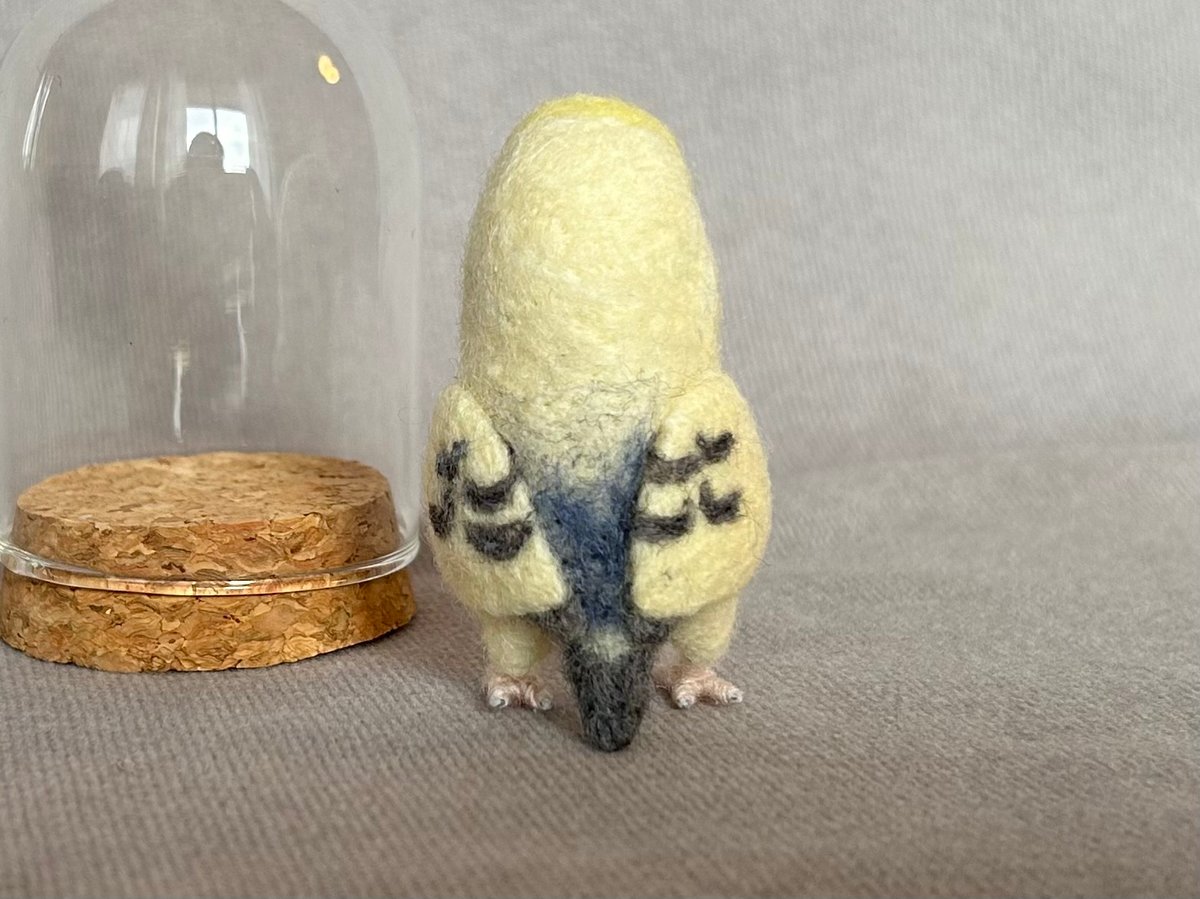 マイセン　インコ　プラーク　トニトコ　東さ7-0304☆2F セキセイインコ約1/2サイズ＋おすわり | TinyBooBoo