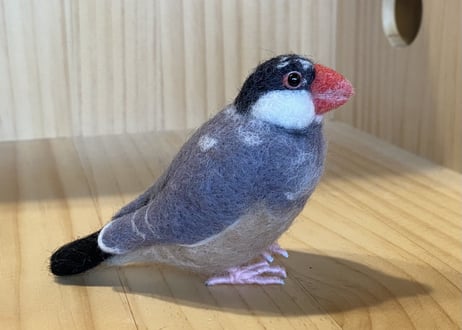 お客様専用約1/2サイズ桜文鳥