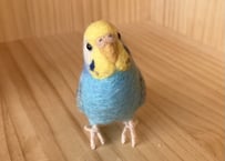 お客様専用約1/2サイズ&ピーナッツセキセイインコ