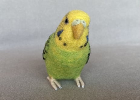 お客様専用約1/2サイズ＆ピーナッツセキセイインコ