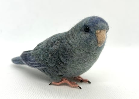 お客様専用約1/2サイズサザナミインコ
