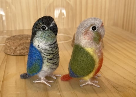 お客様専用ガラスドームタイプウロコインコ2体