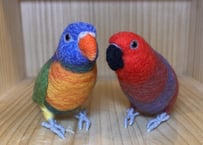 お客様専用ハルマヘラオオハナインコ＋アカエリゴシキセイガイインコ