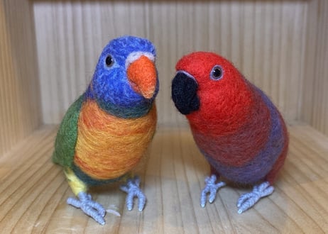 お客様専用ハルマヘラオオハナインコ＋アカエリゴシキセイガイインコ