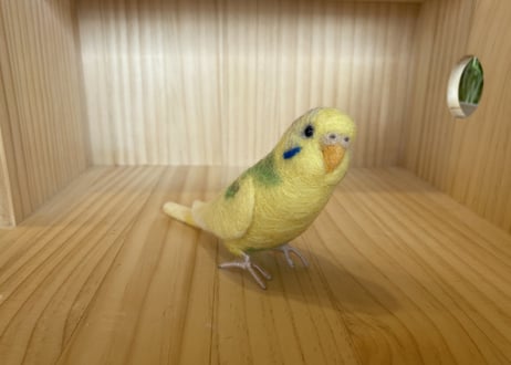 お客様専用約1/2サイズセキセイインコ３体