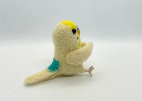 お客様専用セキセイインコリアルサイズ&おすわり