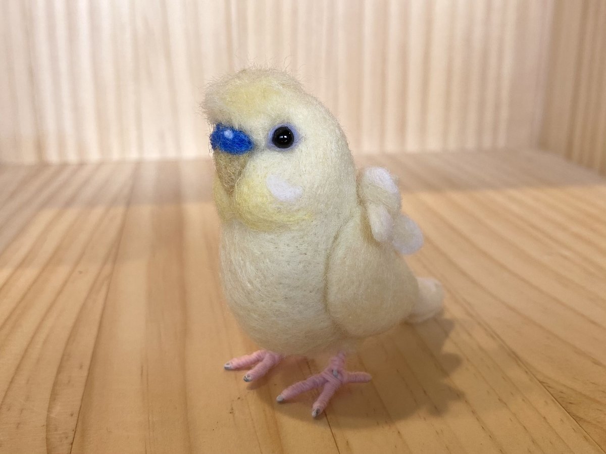 セキセイインコ セキセイインコ 01S-M01 – JEKCA-SHOP
