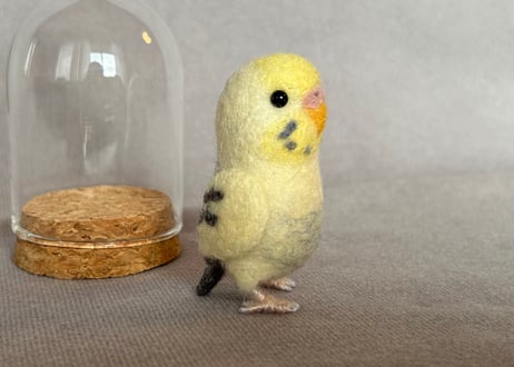 お客様専用ガラスドームタイプセキセイインコ