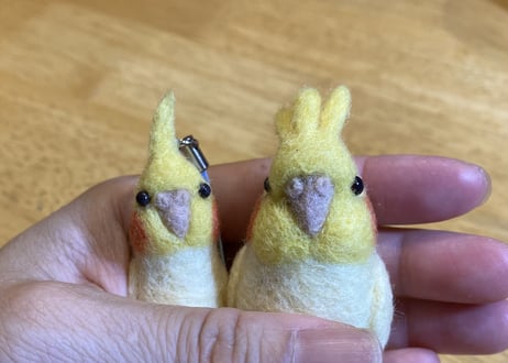 お客様専用約1／2サイズ&ガラスドーム