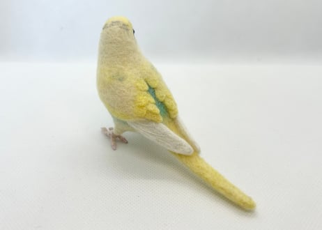 お客様専用約1/2サイズセキセイインコ×2