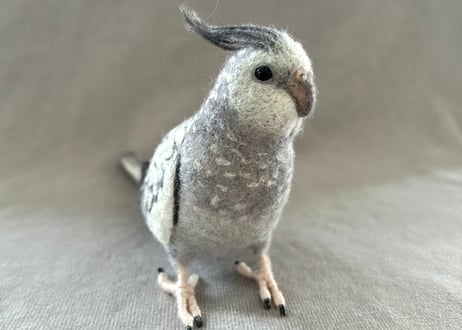 約1／2サイズオカメインコ